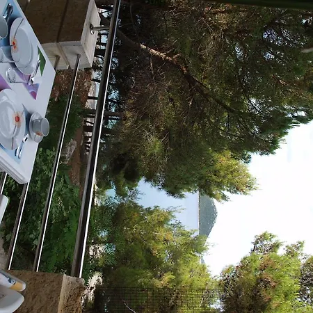 Marija-roza * דראגה