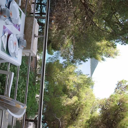 Marija-roza דראגה