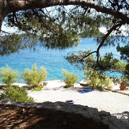 Marija-roza דראגה