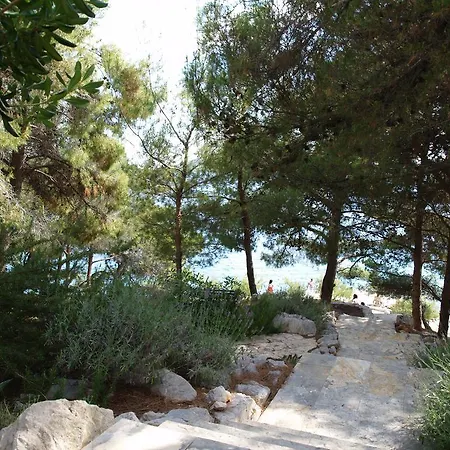 Marija-roza דראגה