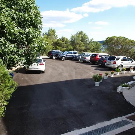 Marija-roza * דראגה