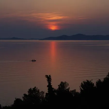 Marija-roza * דראגה