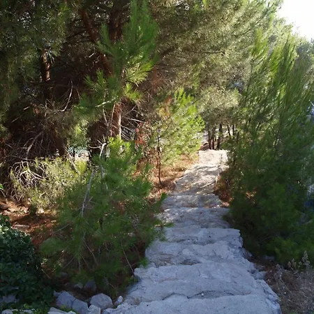 Marija-roza * דראגה