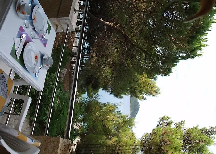 Marija-roza * ドラゲ