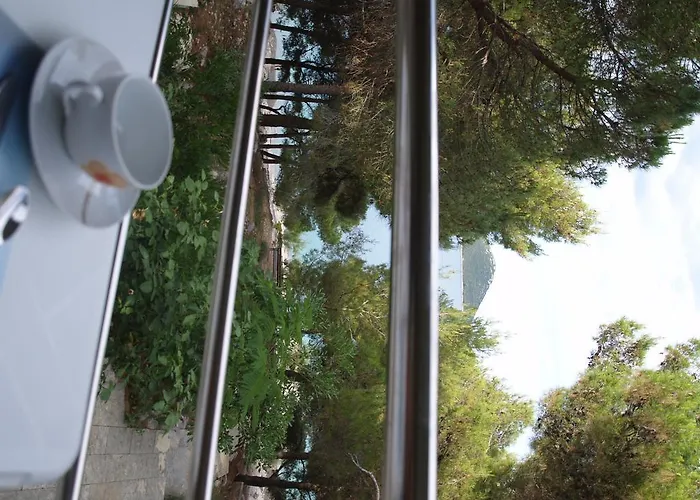 Marija-roza 드라게