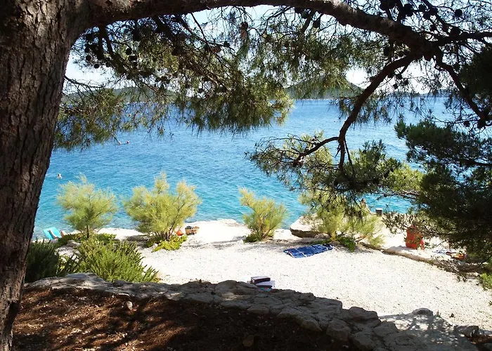 Marija-roza ドラゲ