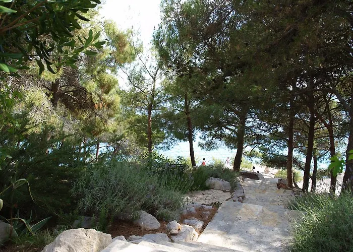 Marija-roza 드라게