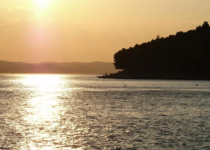 Marija-roza * 드라게